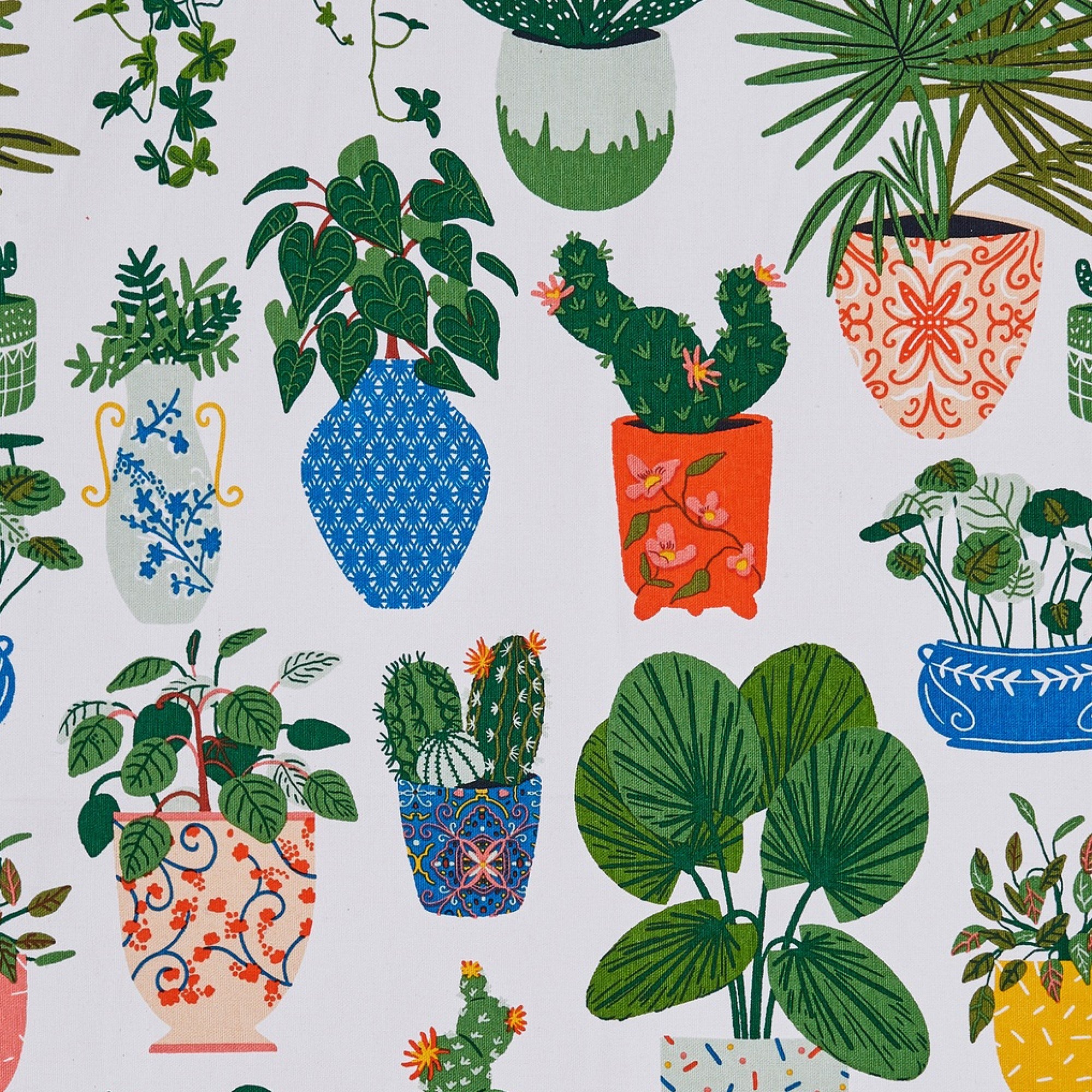 Ulster Weavers Cotton Tea Towel - Pot Plants (100% Cotton, Green) - Tea Towel - Ulster Weavers