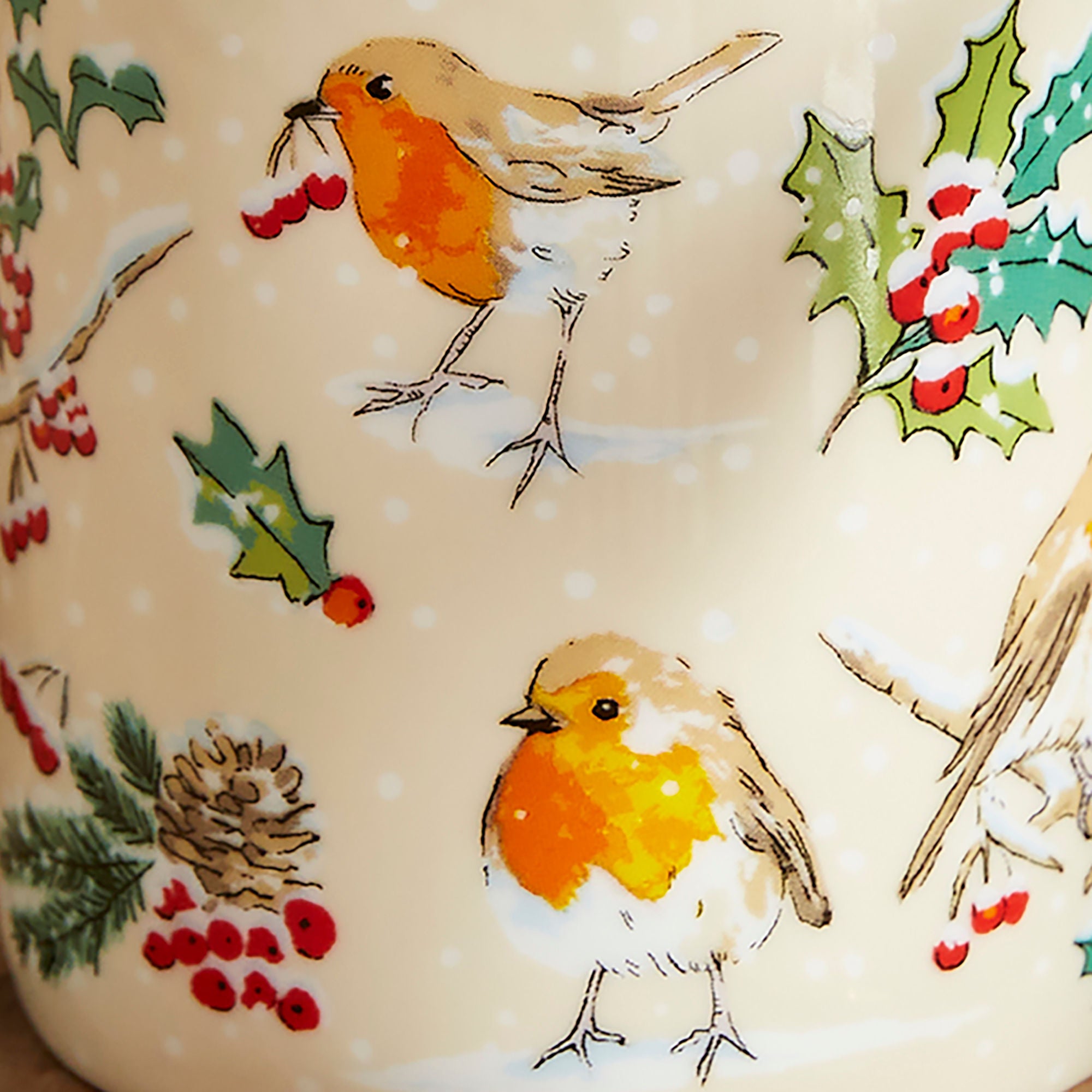 Christmas Robins Bone China Mug in Green - Mug - Ulster Weavers