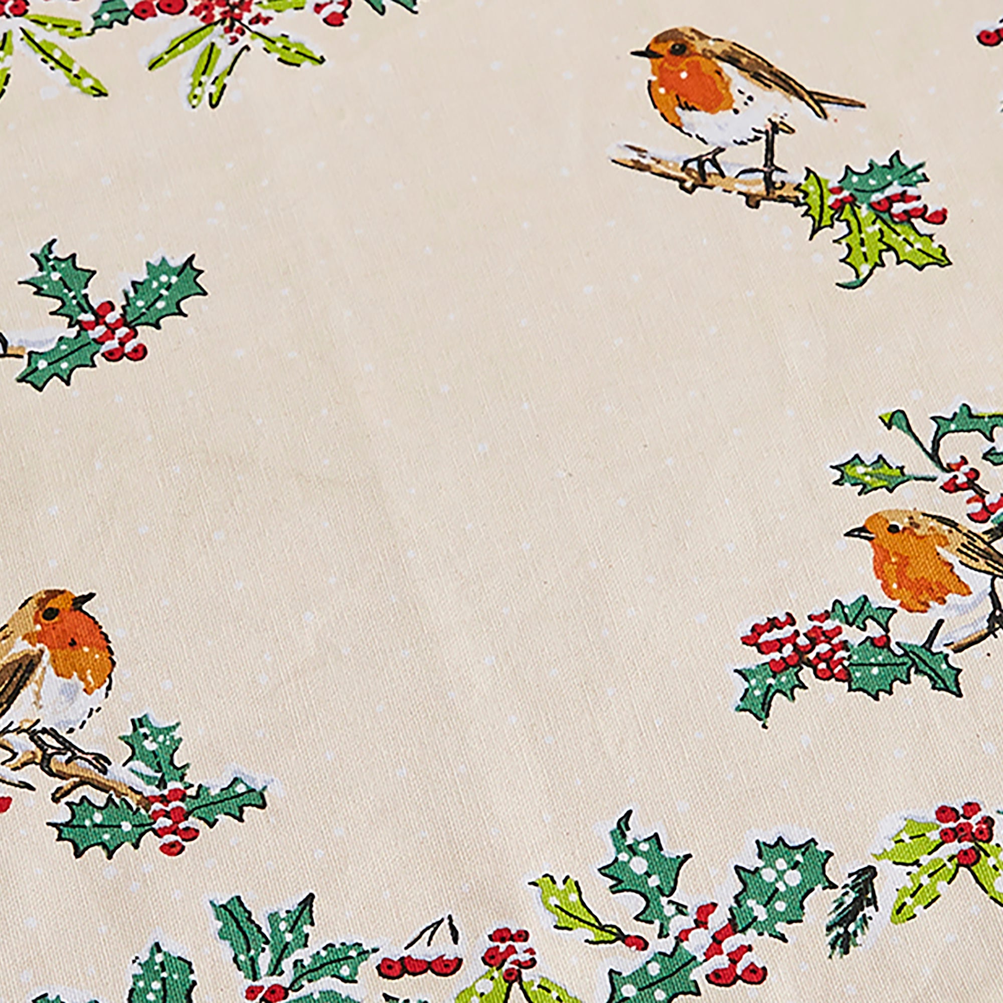 Christmas Robins Cotton Placemats 2 Pack in Green - Placemat - Ulster Weavers