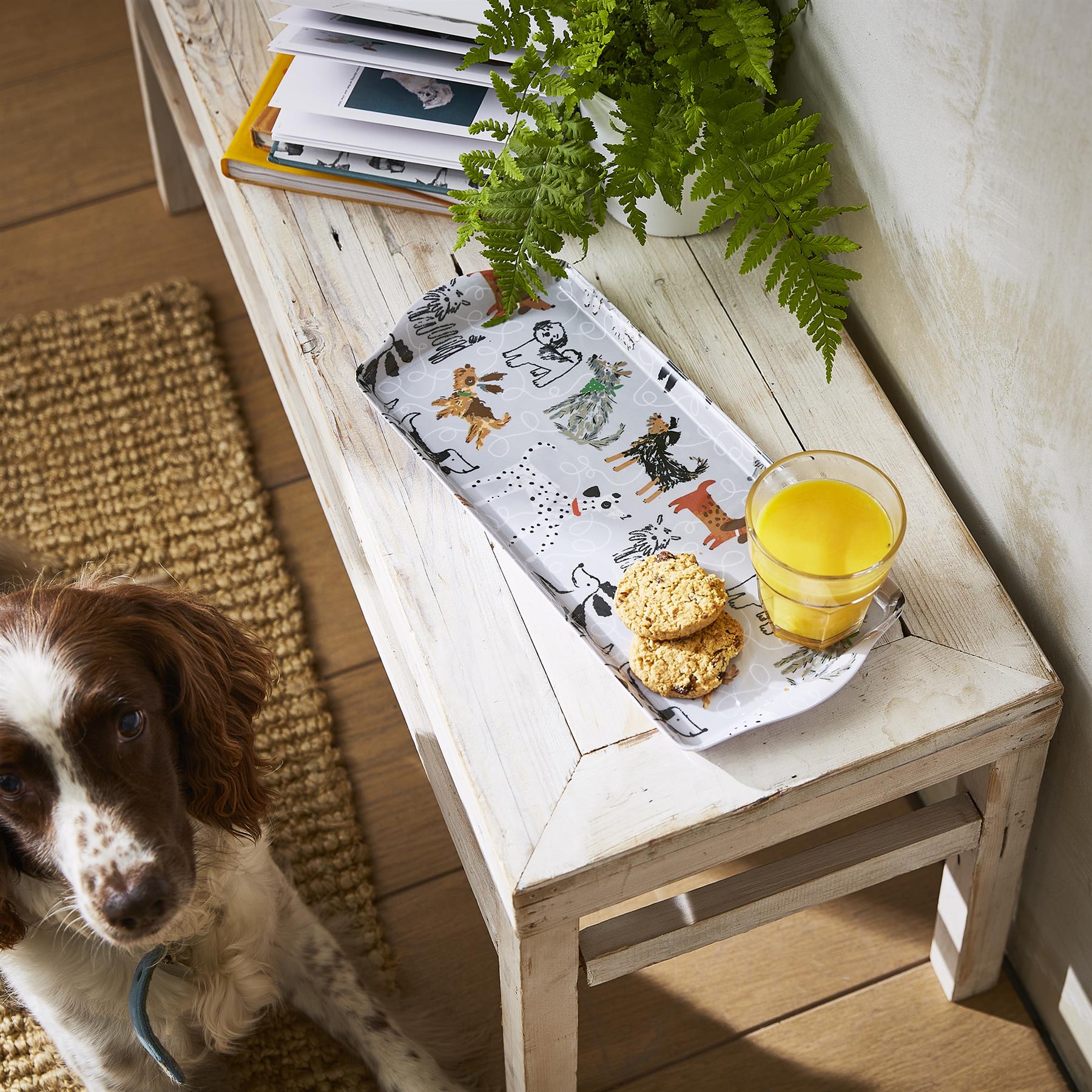 Ulster Weavers Dog Days Tray - Small One Size in Grey - Tray - Ulster Weavers