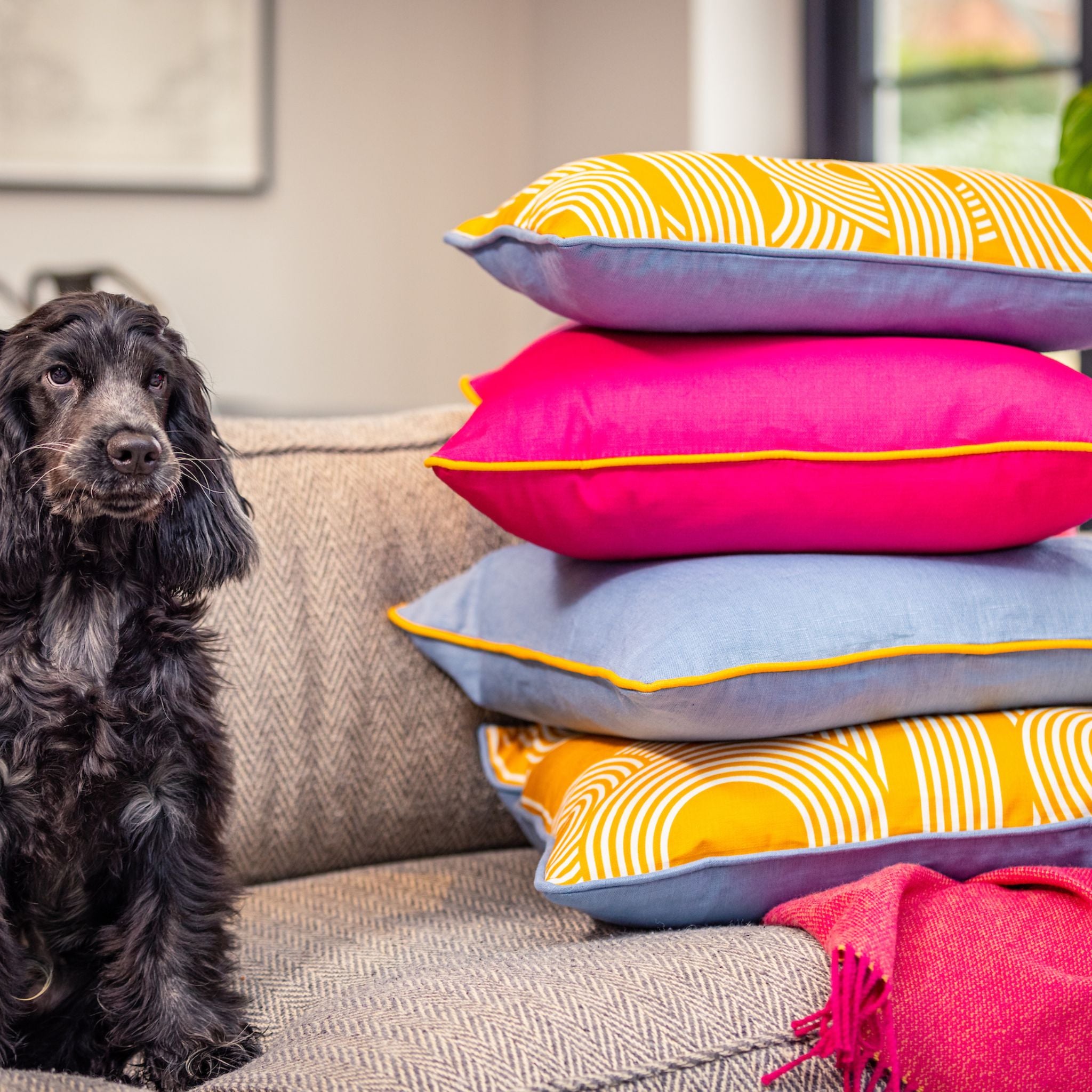 Ulster Weavers Plain Linen Cushion - Limelight (50cm x 50cm, Iris Blue/Ochre Yellow) -  - Ulster Weavers