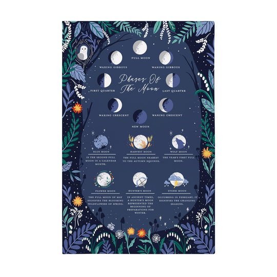 Phases of the Moon Cotton Tea Towel in Navy
