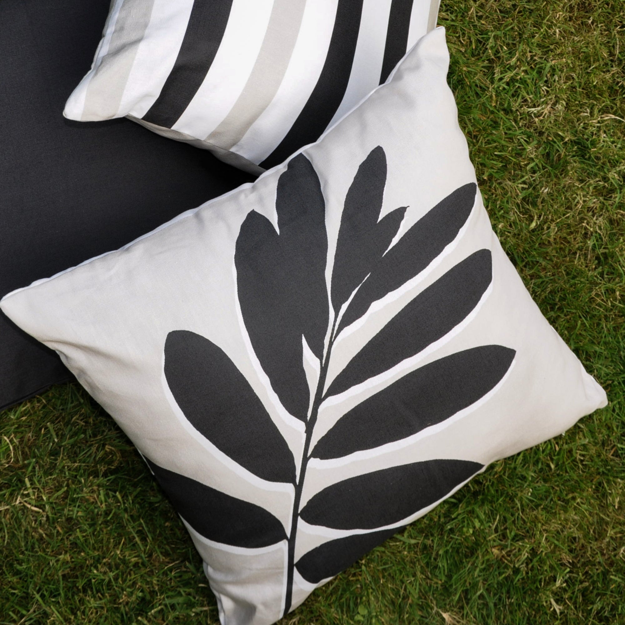 Leaf Print Filled Cushion by Fusion in Natural 43 x 43cm - Filled Cushion - Fusion